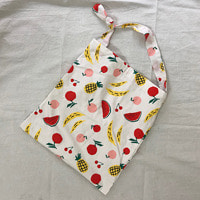 fruit party bag